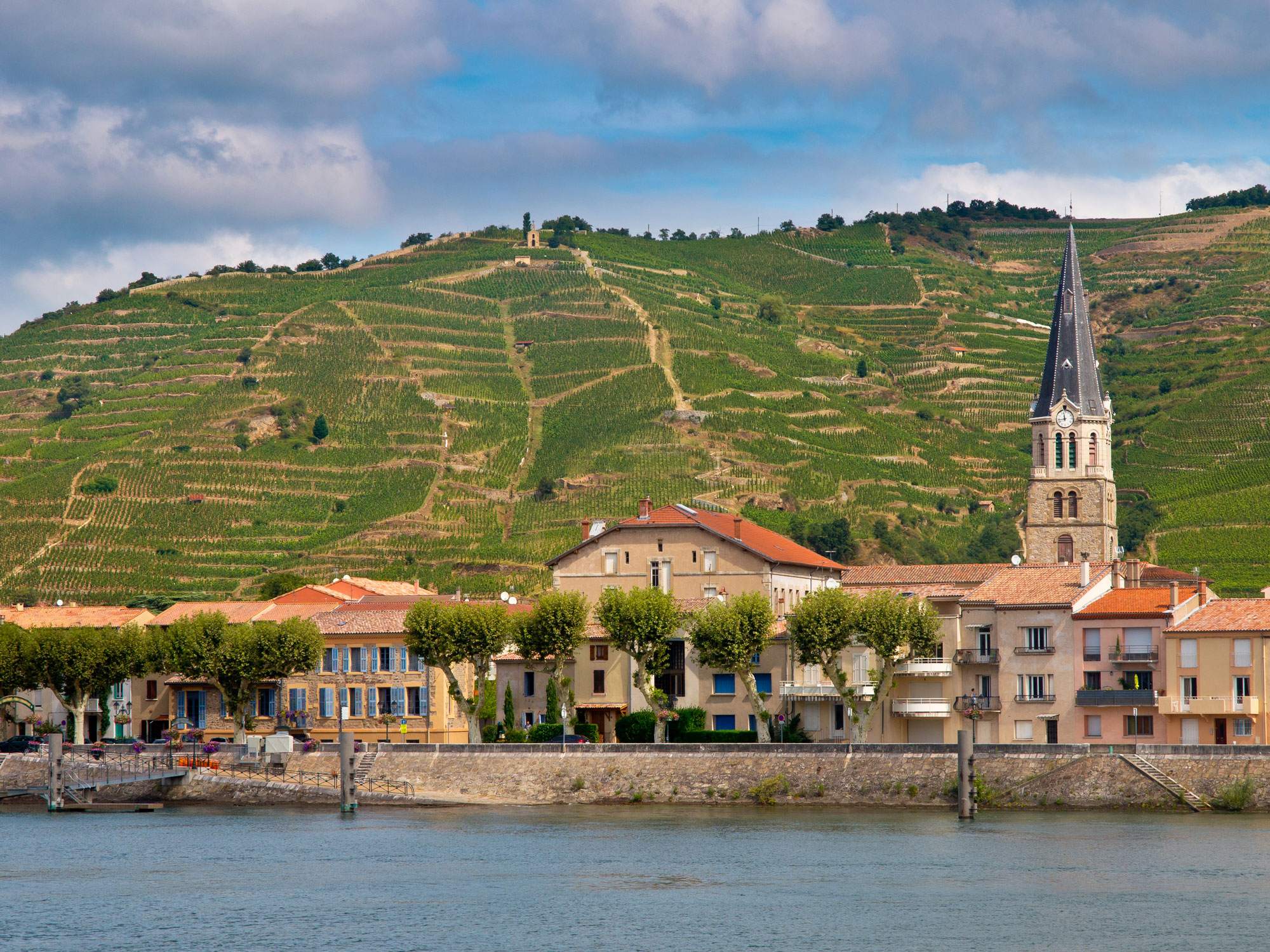 Rhône-style vineyard